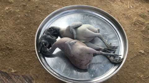 91哟哟视频在线观看