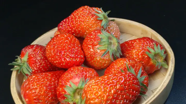 秦可欣 秦可欣初始“磨合”成本存在