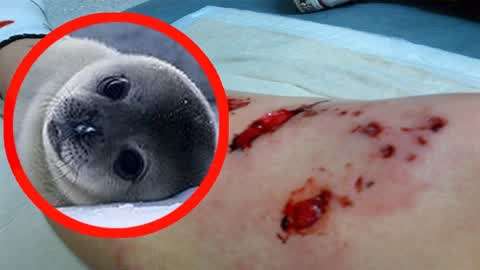 雨后的小故事在线观看 故事社区氛围更聚焦