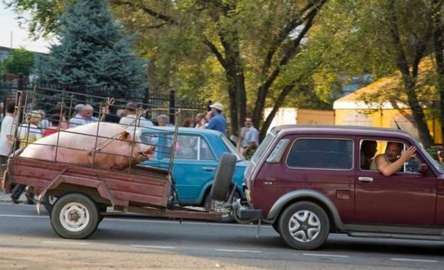 雨后小故事真人版
