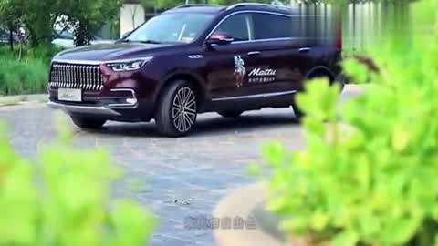 大菠萝福建官方导航引导入口