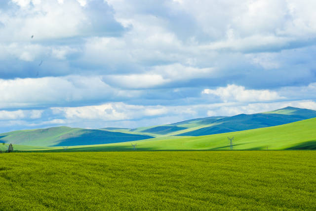 9色短视频 色短视频关于“9色短视频”