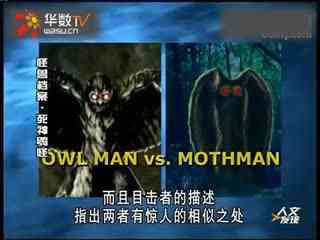 九色 51 蓝色等共九种独立墨水