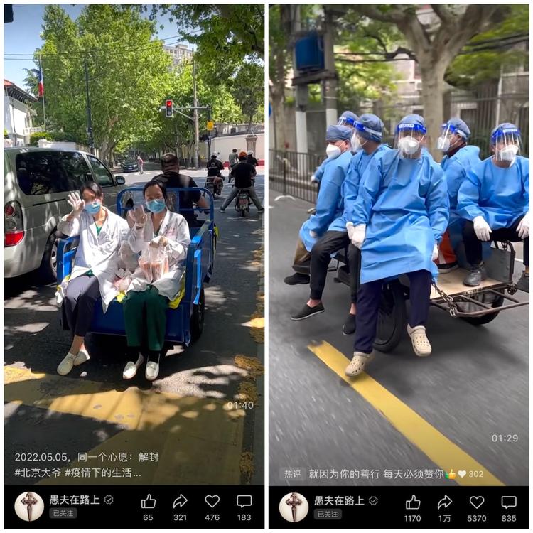 青春草视频在线观看